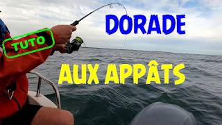 Tuto  PECHE à  la Dorade (Daurade) : le montage gagnant ?