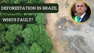 Deforestation in the Brazilian Rainforest: Causes, Consequences, and Solutions