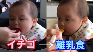 【0歳7ヶ月】イチゴからの離乳食のリアクション