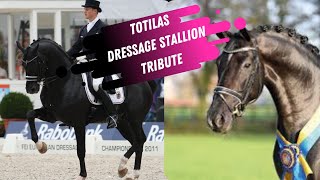 RIP Totilas Dressage Stallion Tribute (2000-2020)