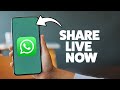 How To Share Live Location On WhatsApp 2025 (iPhone & Android)