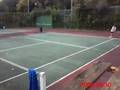 Phil Naessens Tennis Academies International