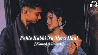 Pehle kabhi na mera haal - Slowed & Reverb | Udit narayan | bollywood hindi songs LoFi