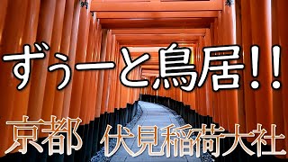 千本鳥居！伏見稲荷大社に行ってきた！！