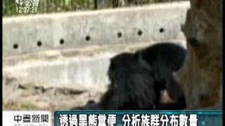 20130414-公視中晝新聞-台灣黑熊保育見效 呈現穩定增加