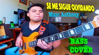 SE ME SIGUE OLVIDANDO - Bass Cover [Marc Anthony] bajo cover