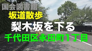 「梨木坂」を下る坂道散歩 千代田区永田町1丁目