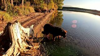 Vištyčio ežeras, Виштынецкое озеро, Wystiter See, Wyschtyter See