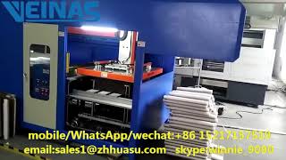 epe foam machine/Veinas epe cardboard laminating machine/Expanded Polyethylene Foam machine