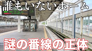 やまびこ号が唯一通過する駅に行ってきた。