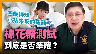 (中字) 棉花糖測試到底是否準確？如何在四歲得知小孩未來的成就？細看測試結果最新發展～