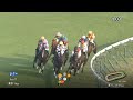 【競馬】2023年 第12回アルテミスステークス gⅢ 【チェルヴィニア c.ルメール】