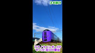 【フラノラベンダーエクスプレス】ラベンダー編成キハ261系5000番台/菊水カーブ/JR北海道