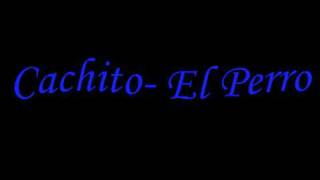 Cachito- El Perro