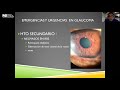 salud ocular en linea ino glaucoma emergencias oculares