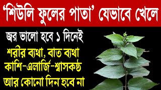 জ্বর ১ দিনেই ভালো হবে শিউলি ফুলের পাতা যেভাবে খেলে। বাতের ব্যথা সর্দি-কাশি ম্যালেরিয়া চিরতরে দূর হবে