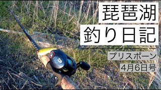 南湖東岸でスポーニングバスが付くポイントについて説明します【琵琶湖おかっぱり】