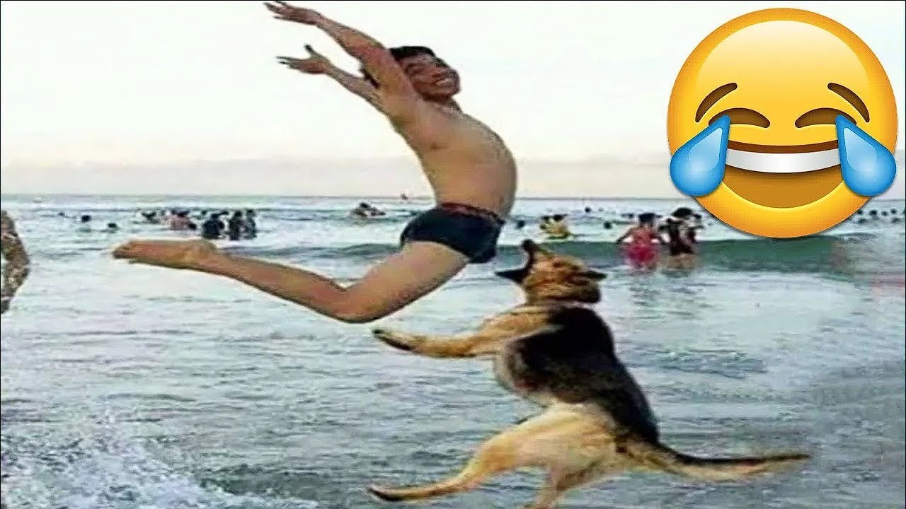 TRY NOT TO LAUGH 😆 Best Funny Videos Compilation 😂😁😆 Memes PART 2 - YouTube