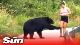 Bear swipes at jogger in hair raising confrontation