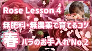 No2 無肥料・無農薬で育てるバラのお手入れ 分かりやすいお話