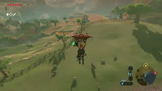 Just Made It - The Legend of Zelda: Breath of the Wild (Switch)