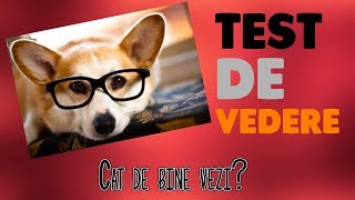 ✔CAT DE BINE VEZI?(TEST DE VEDERE)