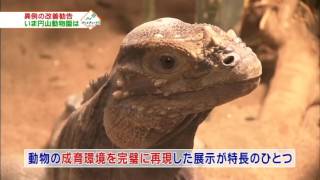 円山動物園はどう変わる？①2016年11月13日放送