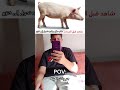 سكيتشات_كوميدية ضحك foryou comedy حمزة youtubeshorts funny كوميدي كوميديا fyp foryou