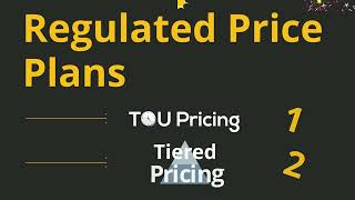 What is a Regulated Price Plan (RPP)?