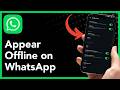 How To Appear Offline on WhatsApp (2026 Guide)