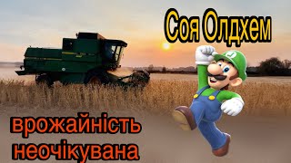 Уборка сої «Олдхем». Скільки дала культура, вперше посіяна⁉️Комбайн маленький,виявився непоганий 👍