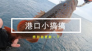 DingDing 釣遊 系列，港口就有很多高級魚，用這種假餌幫自己過年加菜  Part 24