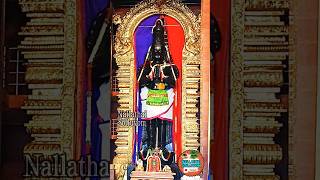 Sri Sankatahara Mangala Maruthi Temple Gnanapuri ☆ 33 அடி விஸ்வரூப ஆஞ்சநேயர் திருக்கோயில் ஞானபுரி ☆