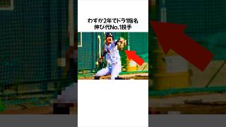 『わずか2年でドラ1指名』伸び代No.1のプロ野球選手 #ドラフト候補 #ドラフト1位  #高校野球 野球 #甲子園 #プロ野球 #雑学 #MLB