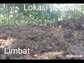 pikat cengkram pagar alam limbat ber axsi.@solepga