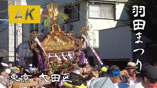 羽田神社夏季例大祭(羽田まつり 2023) | 東京 大田区