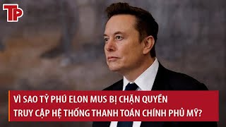 Vì sao Bộ Tài chính Mỹ cấm tỷ phú Elon Musk truy cập hệ thống thanh toán chính phủ?