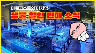 마린코스트의 마지막 생물 할인 소식입니다