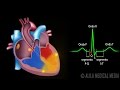 El Sistema de Conducción Cardíaca y la Relación con ECG, Animación. Alila Medical Media Español.