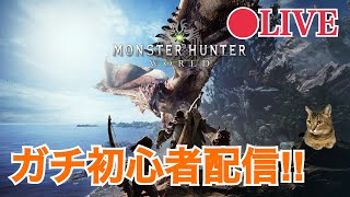 【MHW】参加可能！クシャルダオラをやっつけるぞ！モンハン初心者がモンハンワールドやるよ～ #11