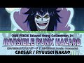 24 INVISIBLEパンクハザード |  INVISIBLE Punk Hazard [CAESAR] — Full Lyrics (Kan/Rom/Eng)