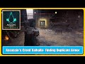 Assassin's Creed Valhalla- Finding Duplicate Armor