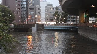 台風19号で増水した神田川