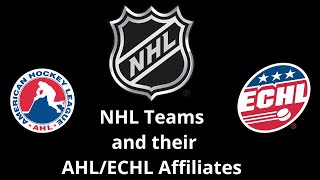 NHL Teams and their AHL/ECHL Affiliates 2024-2025