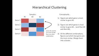 StatQuest Heatmaps considerations for drawing and interpreting them