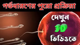 একটি মেয়ের পেটে কিভাবে বাচ্চা আসে | গর্ভধারণের পুরো প্রক্রিয়া দেখুন 3D ভিডিওতে