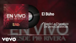 Banda La Chacaloza De Jerez Zacatecas - El Búho (Audio/En Vivo)