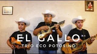 Trío Eco Potosino -  El Gallo
