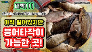 [낚시] Eng_아직 얼어있지만 붕어타작이 가능한 곳 - 배양손맛낚시터_Catch a lot of fish in winter