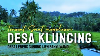 Menelusuri Desa Kluncing Desa diatas lereng gunung ijen banyuwangi I KEHIDUPAN DI PEDESAAN KLUNCING